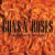 Guns N Roses The Spaghetti Incident