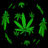 nugdafied